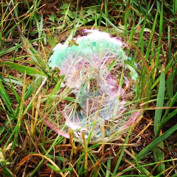 fb_img_1486594644951